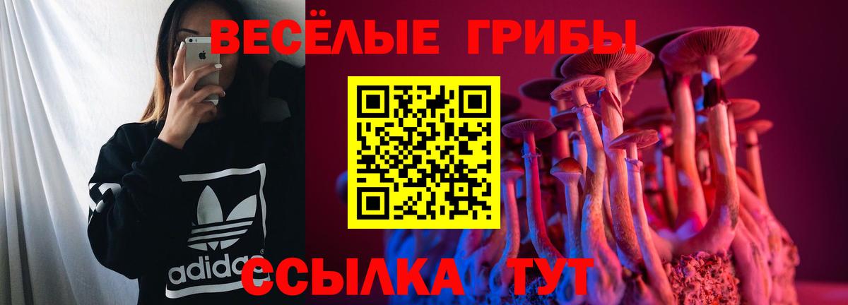 Галлюциногенные грибы Magic Shrooms Бузулук